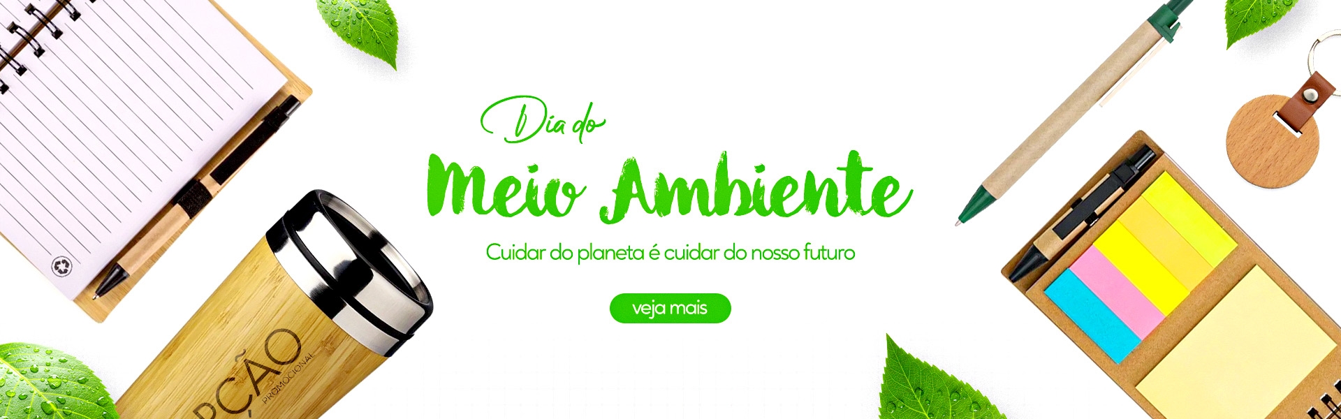 Dia do meio ambiente